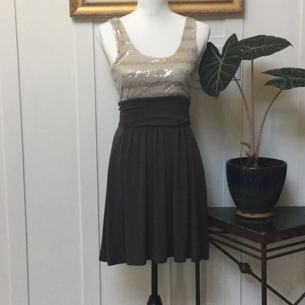 Express Dress - Picture 2 of 5